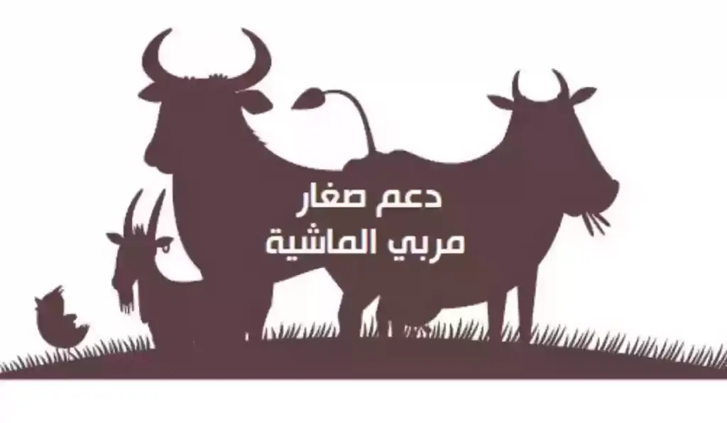 ما هي خطوات تحديث البيانات في دعم صغار مربي المواشي في السعودية 1445