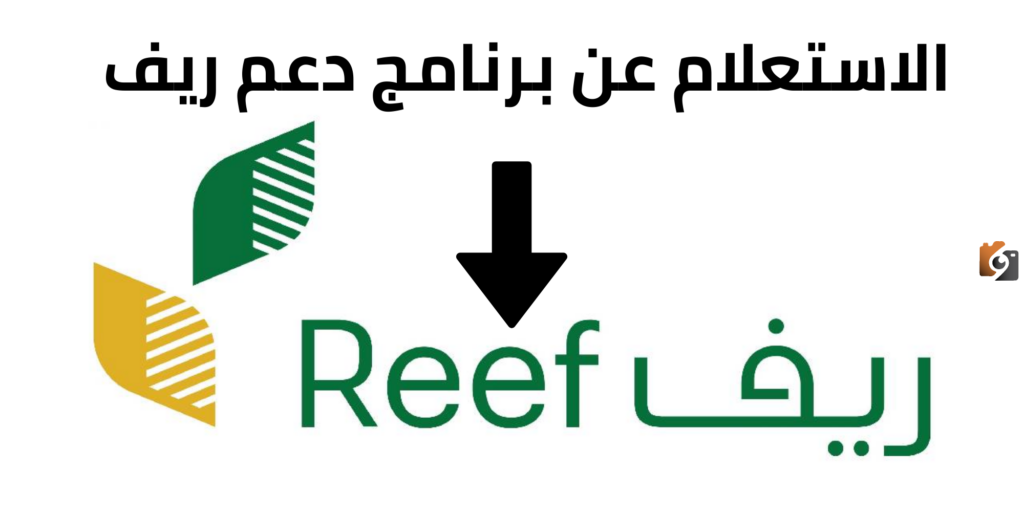 كيف يمكنني الاستعلام عن نتائج أهلية دعم ريف