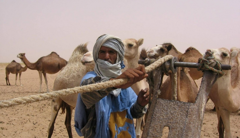 قبيلة الحاتمي وش يرجع من وين قبيلة الحاتمي