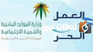 قرض العمل الحر