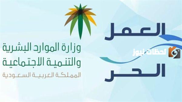 قرض العمل الحر