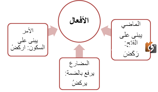 قواعد اللغة العربية للمبتدئين