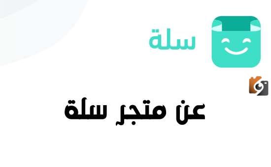 كم يكلف موقع سلة