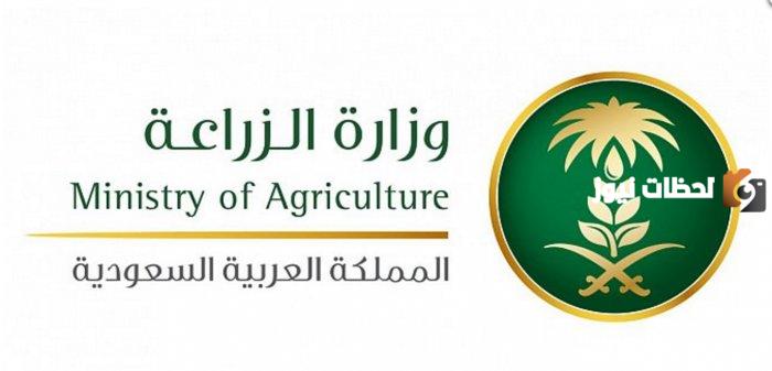 عبر وزارة الزراعة السعودية كيف يمكنك الحصول على أرض زراعية