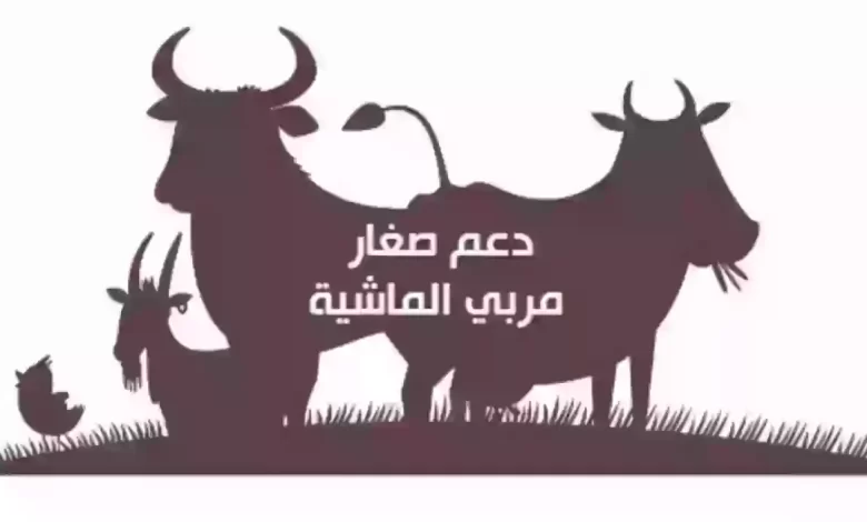 كيف يمكنك الدخول على بياناتي في دعم ال مواشي