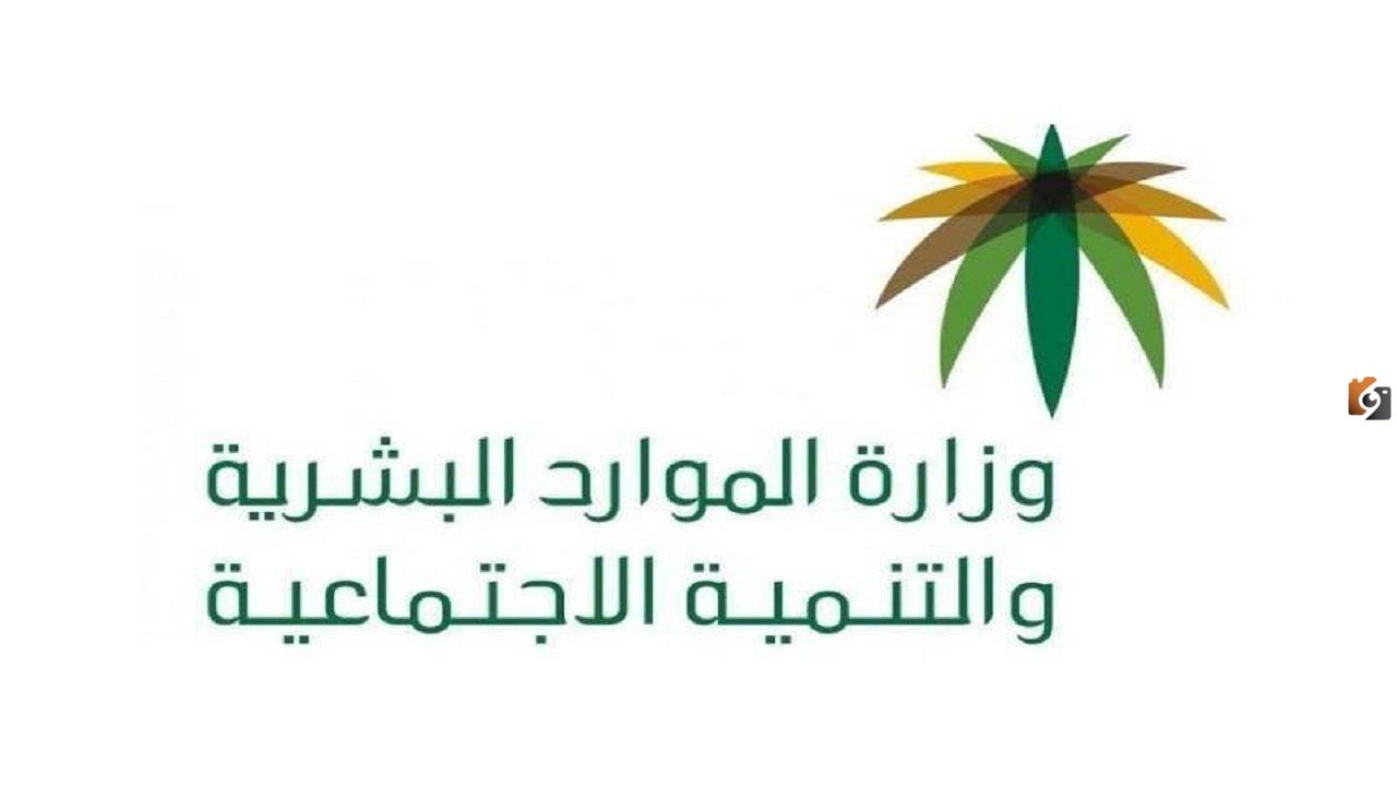 كيف يمكنني الاستعلام عن رسوم مكتب العمل