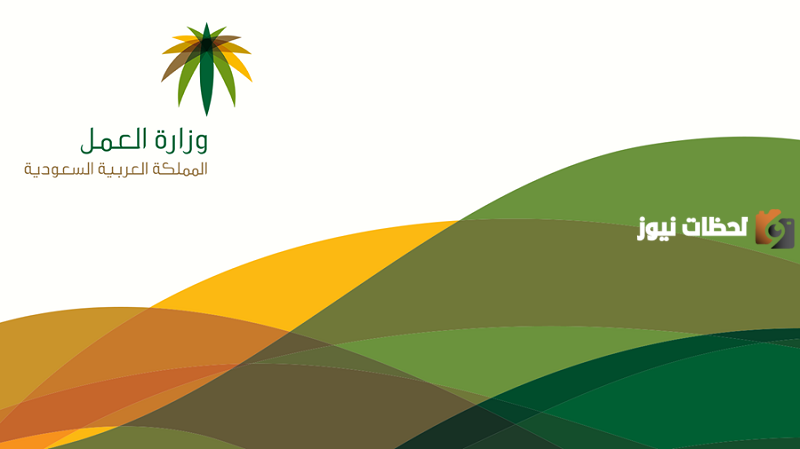 كيف يمكنني الاستعلام عن موظف وافد عبر مكتب العمل