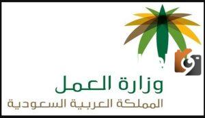 اليكم رابط الاستعلام عن نطاق مؤسسة