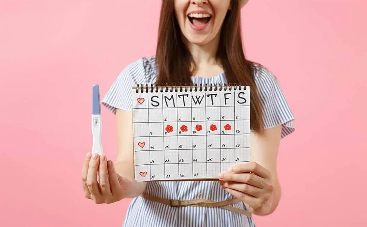 كيفية حساب طول الدورة الشهرية لمعرفة يوم نزول البويضة؟ حاسبة الدورة