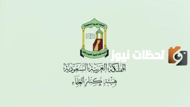 للفتاوي الدينية .. اليكم واتساب دار الافتاء السعودية  1445