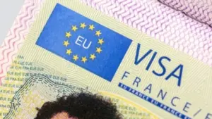 لماذا ترفض السعودية فيزا شنغن 1445؟ وهل يمكن الاعتراض على رفض تأشيرة شنغن