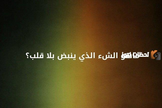 ما هو الشيء الذي ينبض بلا قلب