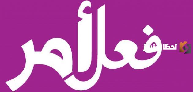 ما هو فعل الأمر في اللغة العربية