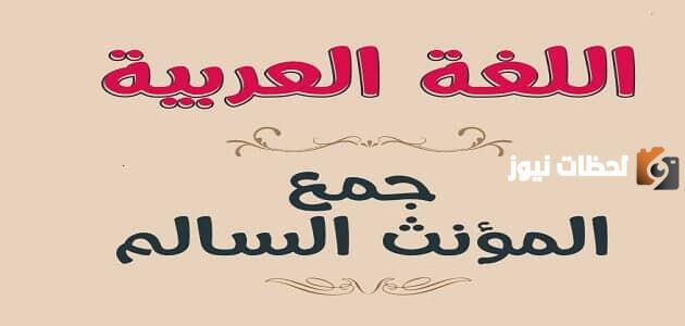 ما هي أفضل تمارين على جمع المؤنث السالم