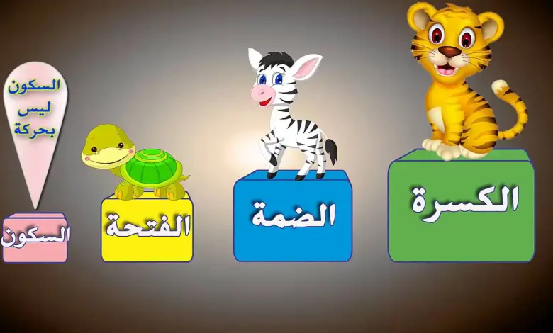 ما هي اقوى الحركات في اللغة العربية وما نطقها