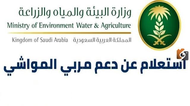 ما هي خطوات استعلام عن دعم المواشي النفاذ الوطني