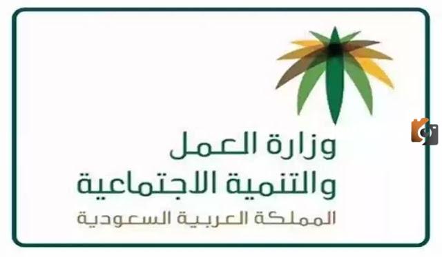 ما هي طريقة تسجيل الموظف في برنامج توطين بالسعودية