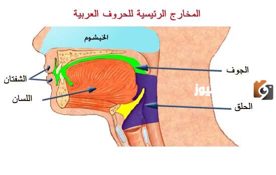 ما هي مخارج الحروف الخمسة