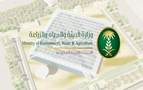 مبادرات لتنمية زراعة البن بالمملكة العربية السعودية تطلقها البيئة والمياه