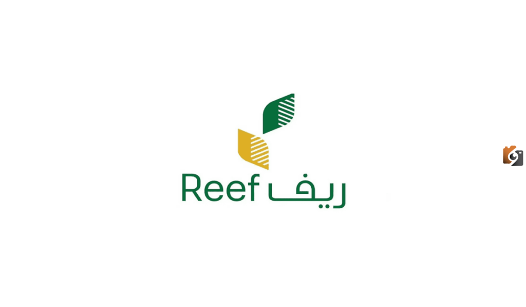 مع اقتراب موعد الصرف ريف يُعلن عن خطوات الاستعلام المفصلة عن الدعم