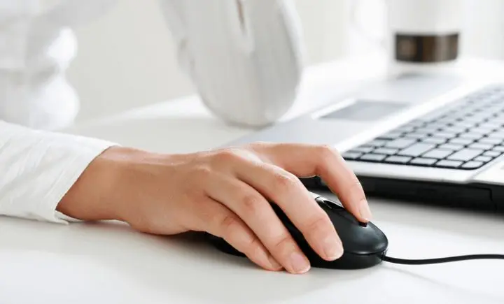 معلومات عن فأرة الحاسوب