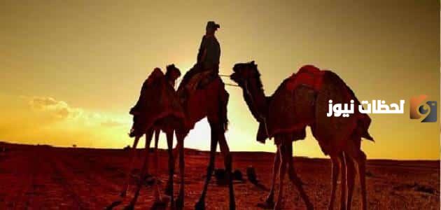 موضوع تعبير عن هجرة النبي بالصف السادسموضوع تعبير عن هجرة النبي بالصف السادس
