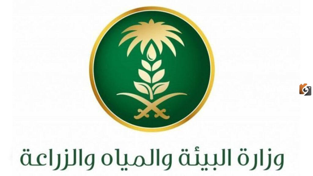 موعد صرف معونة مربي المواشي وحاسبة الدعم