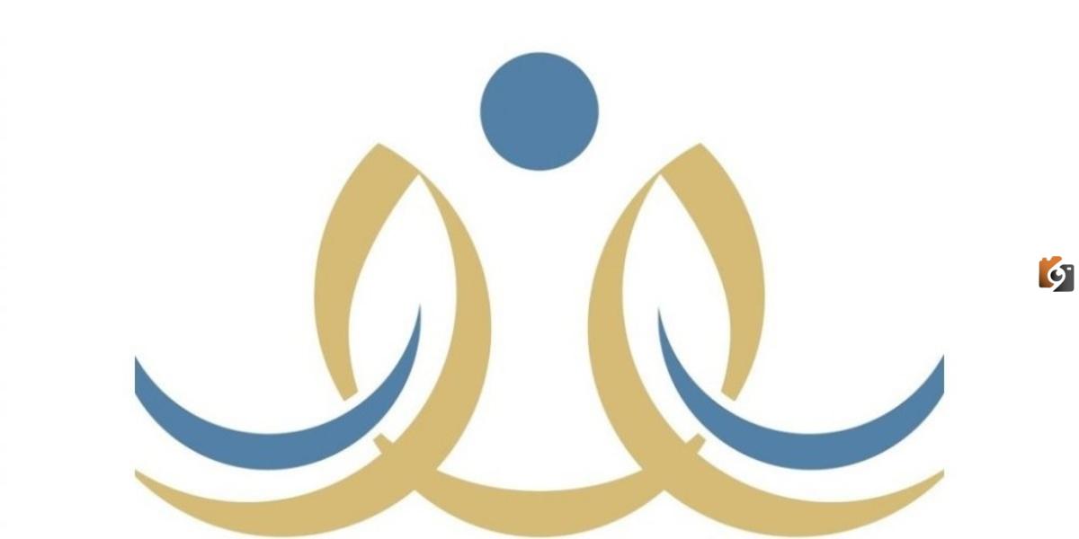 نتائج نظام نور