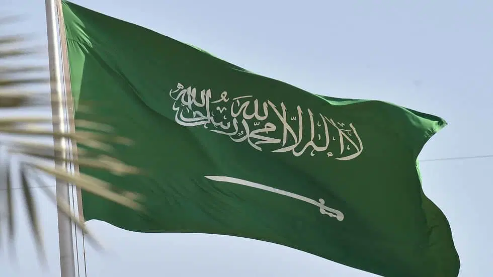 هل يمكنني الاستعلام عن نطاق مؤسسة في السعودية فقط برقم الإقامة