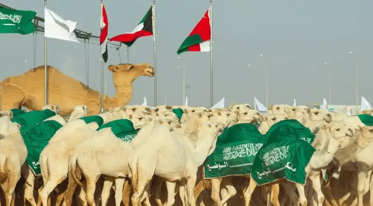 قيمة جائزة الملك عبدالعزيز