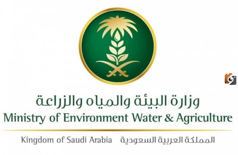 وزارة البيئة والزراعة توضح الشروط اللازمة لإنشاء أسواق النفع العام الجديدة