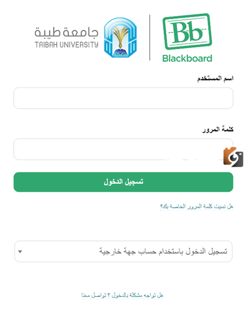 شروط تسجيل دخول بلاك بورد جامعة طيبة