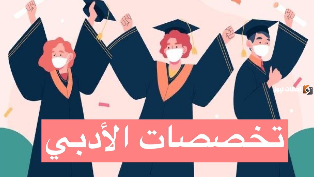 ما هي تخصصات الأدبي في الجامعات