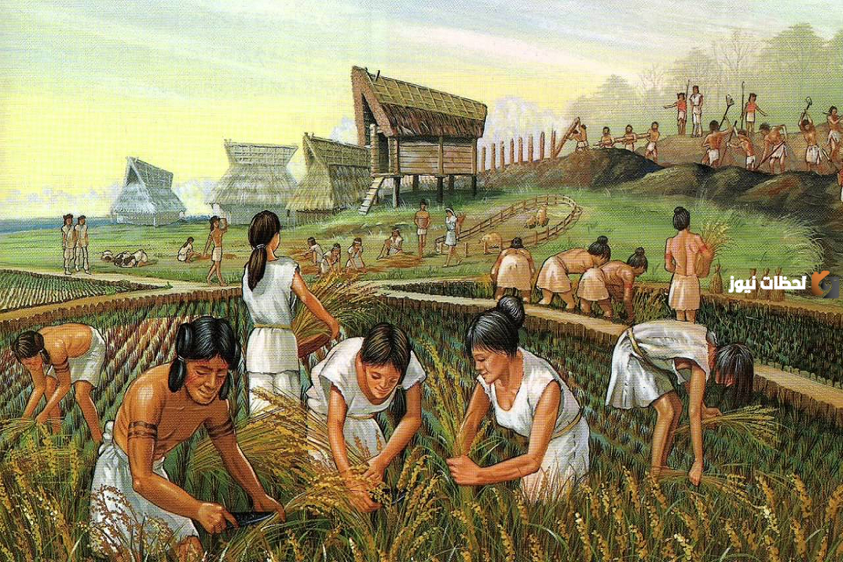 أسباب سقوط الحضارة السومرية