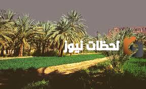 نبذة عن قصة النخلة المائلة