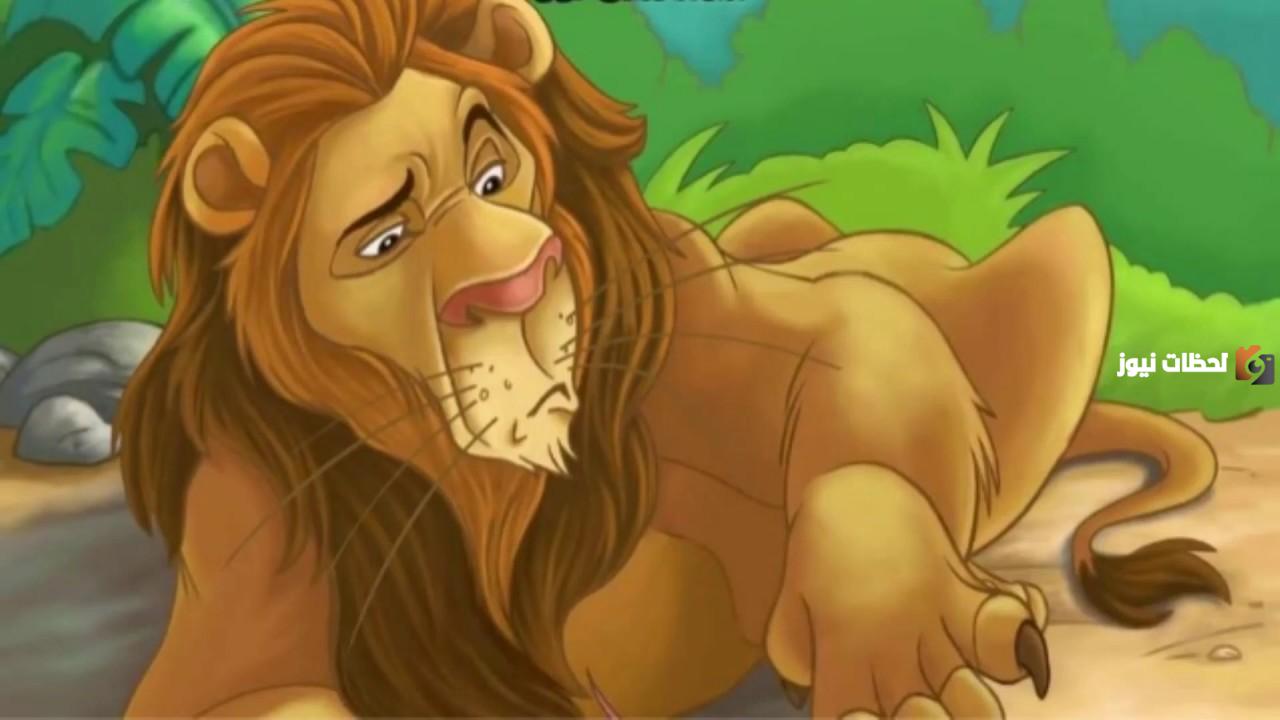 قصة الأسد والقرد