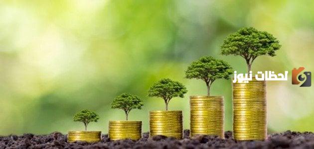 أبعاد التنمية المستدامة الاقتصادية