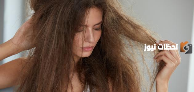 أفضل المنتجات لعلاج هيشان الشعر