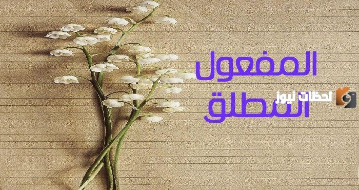 أنواع نائب المفعول المطلق