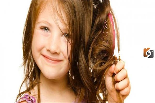 أهم وصفات مناسبه لفرد شعر طفلتك