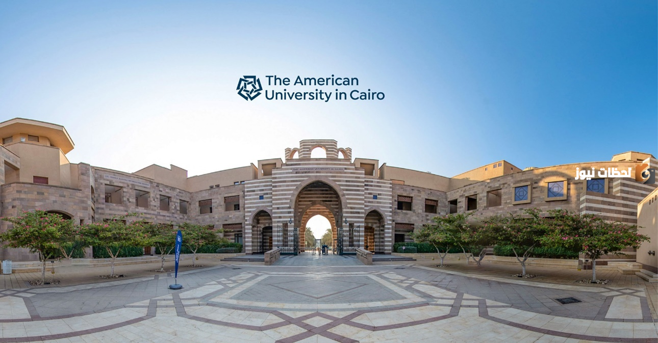 إليك معلومات عن كلية إدارة الأعمال بمصر