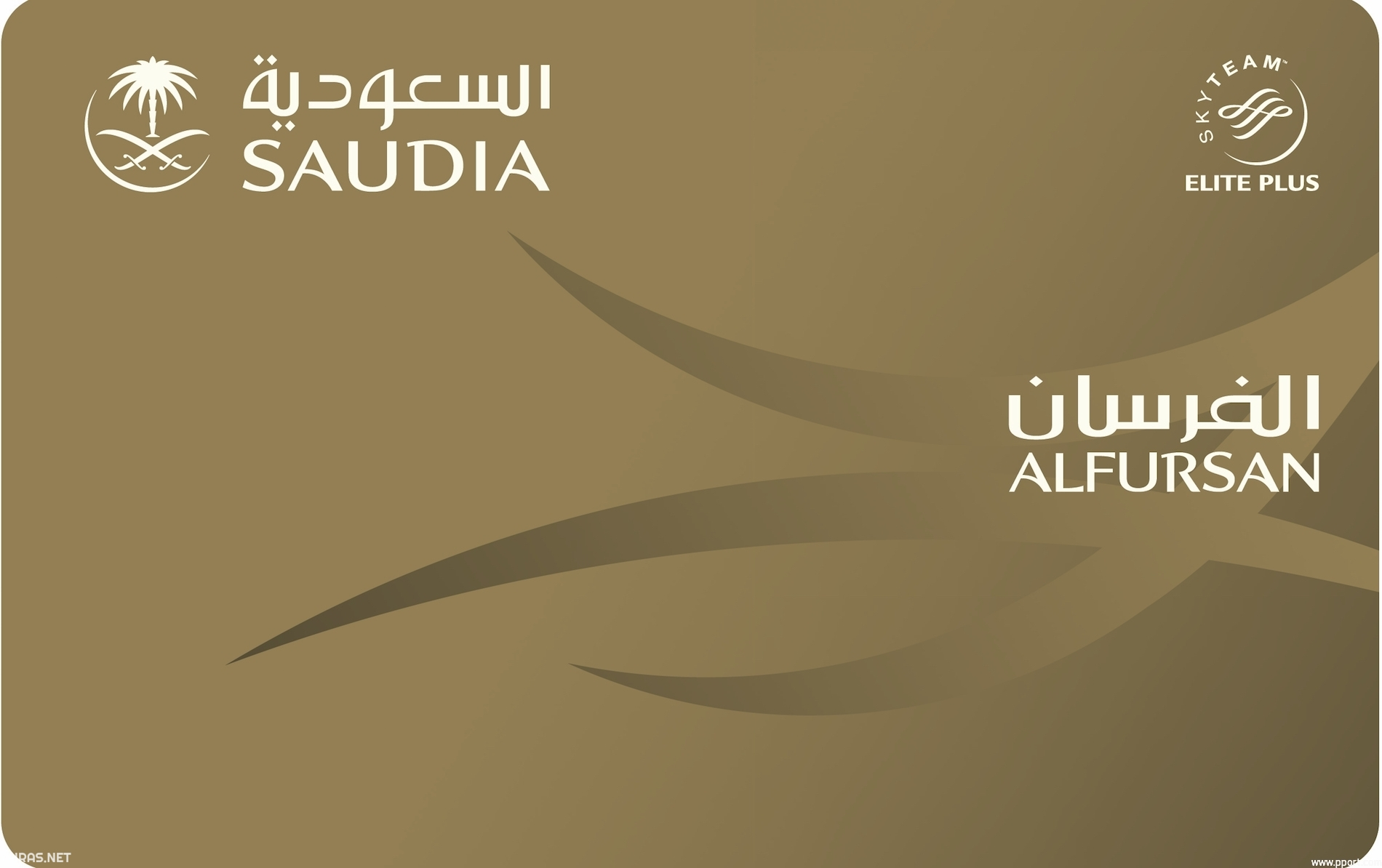 ماذا أفعل إذا نسيت رقم عضوية الفرسان؟.. كيفية استرجاع رقم عضوية الفرسان الخطوط الجوية السعودية 1447