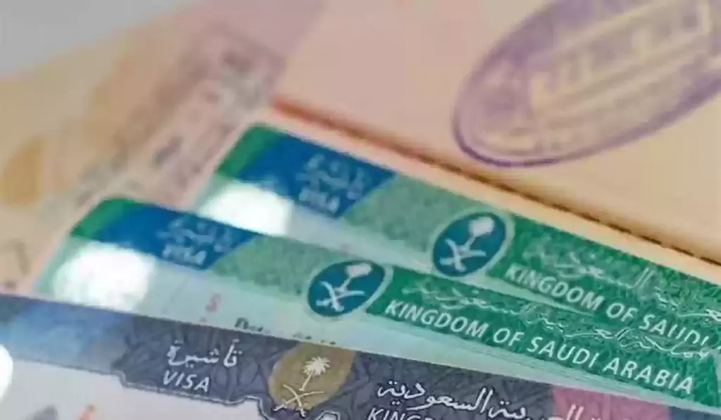 طريقة إصدار تأشيرة المرور الإلكترونية جوا لزيارة المملكة وتفاصيلها 1445