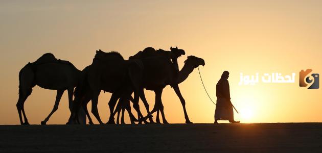 الصحابي الجليل الذي هاجر مع الرسول صلى الله عليه وسلم هو