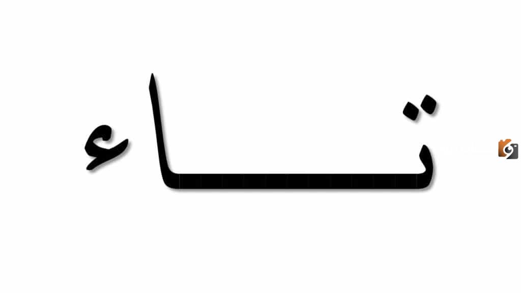 الفرق بين التاء المربوطة والتاء المفتوحة