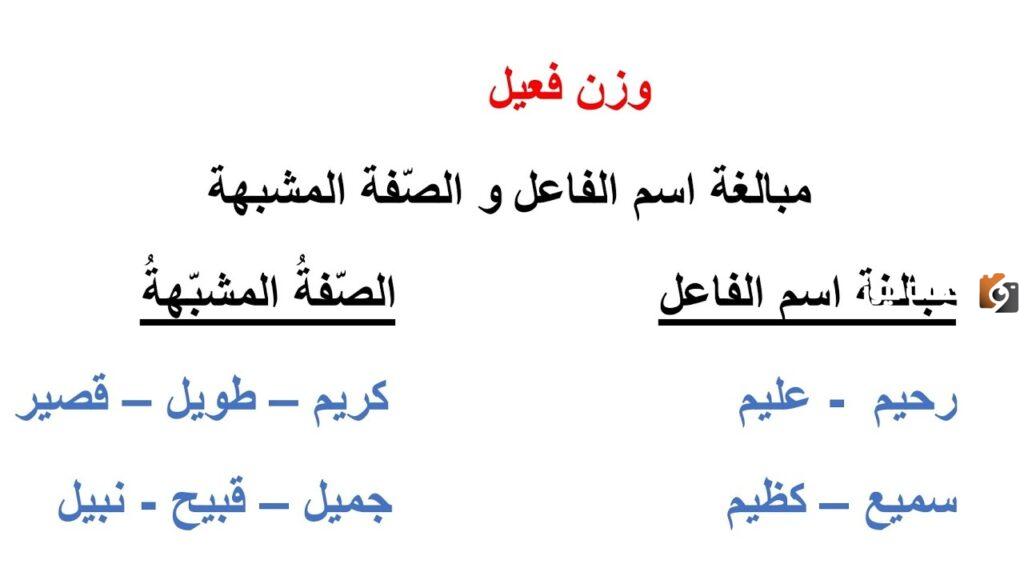 الفرق بين الصفة المشبهة وصيغة المبالغة