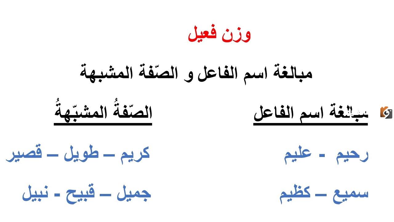 الفرق بين الصفة المشبهة وصيغة المبالغة