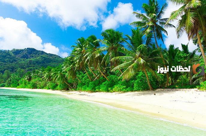 المناخ الاستوائي في أمريكا الجنوبية