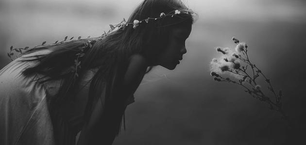 باقة من أجمل الحكم مؤثرة في النفس