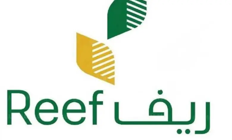 بالخطوات ما هي طريقة الاستعلام عن دعم ريف برقم الهوية